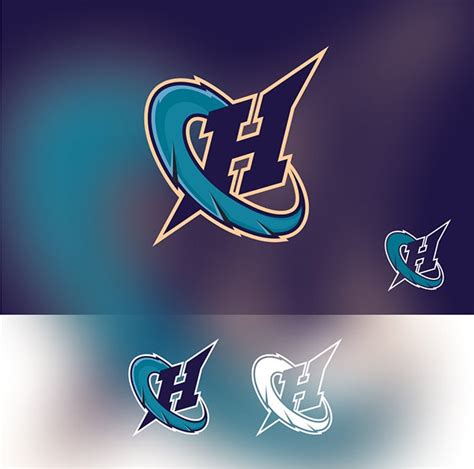 Presenting the winner and top designs from the Charlotte Hornets logo ...