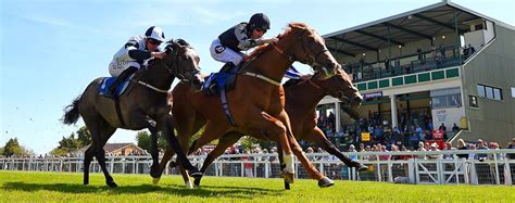 Evening Races | 1 Sep 2023 | Salisbury Racecourse | Koobit