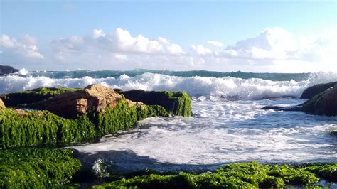 Vizhinjam Beach - Yatri Online