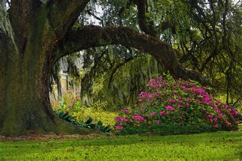 Destrehan Plantation - Home | Facebook