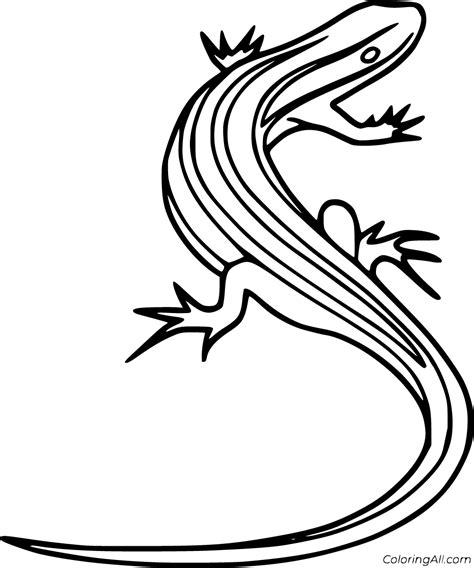 Skink Free Coloring Page Free Printable Coloring Page - vrogue.co