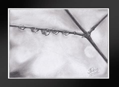 pencil drawing of rain - Google Search | Metal prints, Pencil drawings, Fine art america