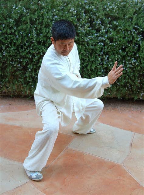 Chen Taijiquan Practical Method