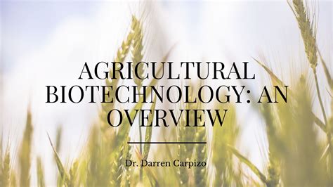 Agricultural Biotechnology: An Overview - Thrive Global