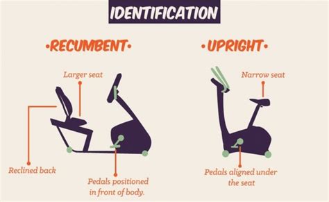 Recumbent Bike VS Upright Bike: Main Differences, Speed, Benefits ...