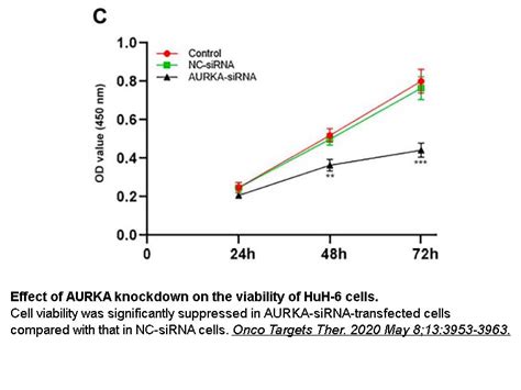 APExBIO - Cell Counting Kit-8 (CCK-8)