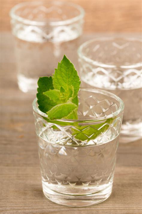 Homemade Peppermint Schnapps Recipe | CDKitchen.com