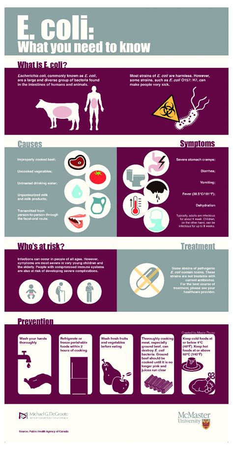 What you need to know about E. coli | Visual.ly Food Safety Chart, Food ...