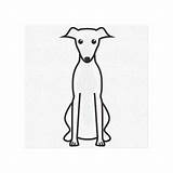 Whippet Clipart Greyhound Clip Outline Coloring Dog Template Line Pages  sketch template