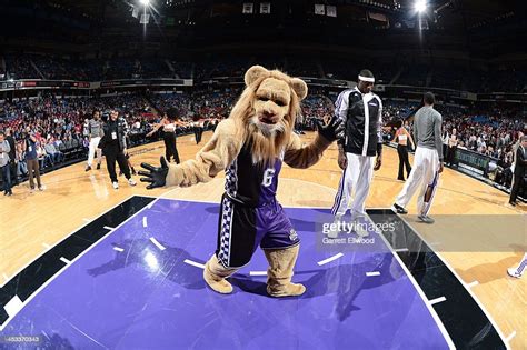 Sacramento Kings mascot, Slamson, gets ready to entertain the crowd... News Photo - Getty Images