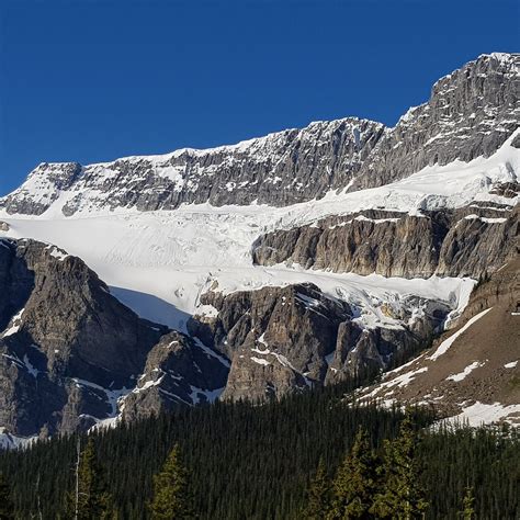 Crowfoot Glacier - All You Need to Know BEFORE You Go (2024)