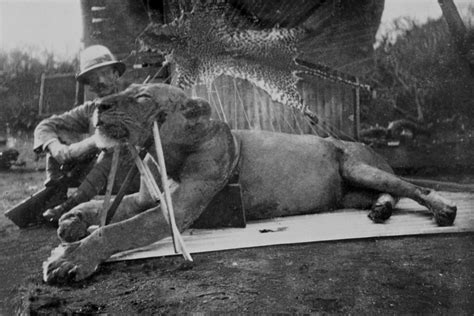 6 Crazy Facts About the Man-Eating Lions of Tsavo