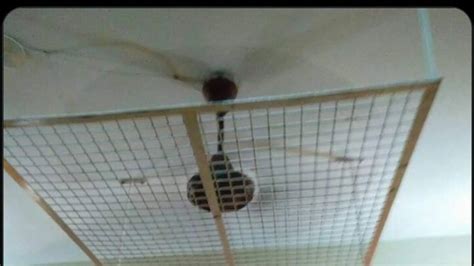 Kota Hostel Room's Photo Has Ceiling Fan Covered Behind Grills, Internet Divided