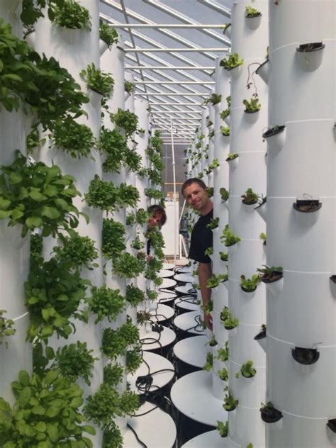 CO's 1st Vertical Farm! | Vertical Farming | Vertical farming, Tower ...