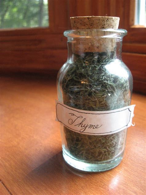 Why and How to Dry Your Own Herbs - Our Heritage of Health