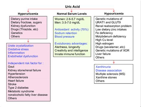 Human serum uric acid (SUA) homeostasis and abnormal changes. Normal... | Download Scientific ...