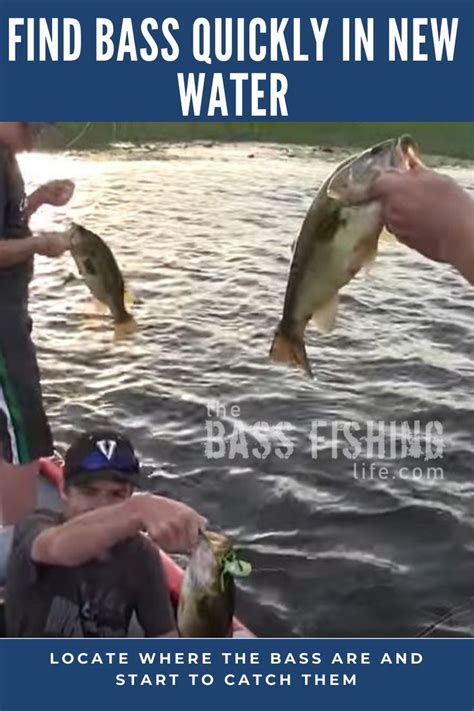 Mastering Bass Fishing: Tips to Find Fish Faster