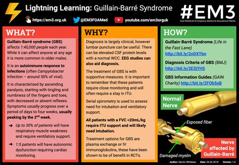 Lightning Learning: Guillain-Barré Syndrome — EM3