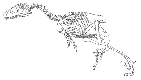 Free Dinosaur Skeleton Coloring Page Coloring Pages