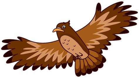 hawk clipart - Clip Art Library