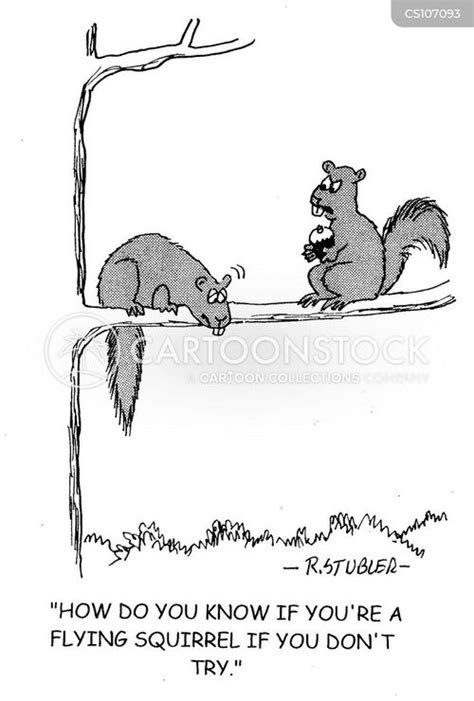 Flying Squirrel Cartoons and Comics - funny pictures from CartoonStock