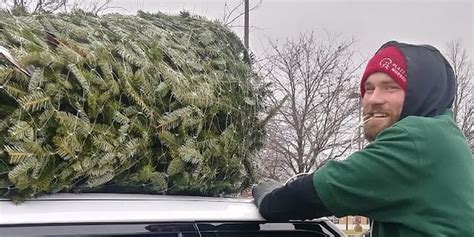 Your Guide to Holiday Tree Selection & Care | Platt Hill Nursery | Chicago | Blog & Advice