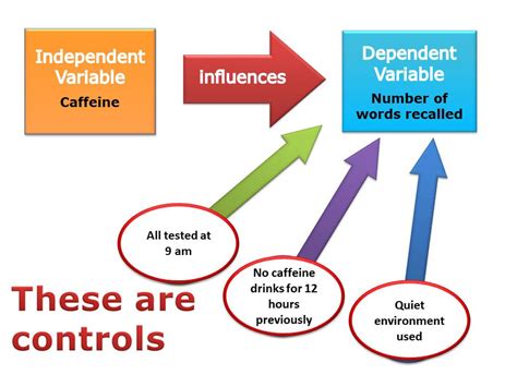 What Is a Controlled Experiment?