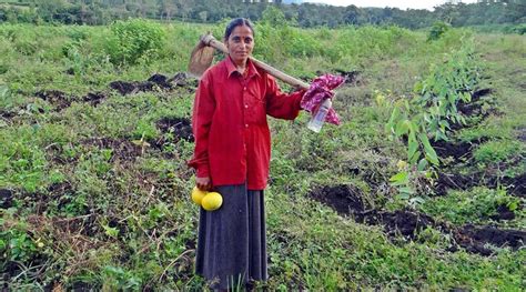 Women farmers in India | Krishak Jagat