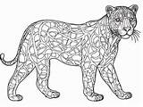 Panther Coloring Page For Art Enthusiasts  sketch template