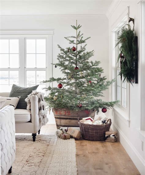 Your Ultimate Guide to Selecting the BEST Real Christmas Tree!