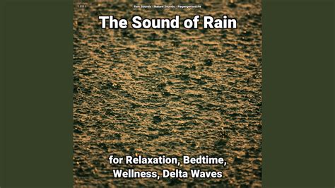 Rain Sounds for Dogs - YouTube