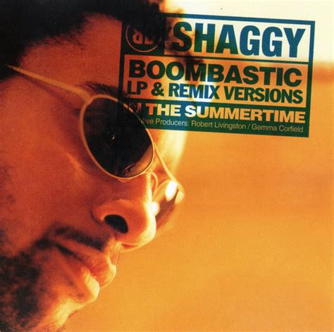 Shaggy – Boombastic (LP & Remix Versions) / In The Summertime (1995, CD) - Discogs