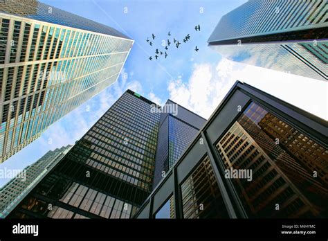 Toronto downtown skyline Stock Photo - Alamy