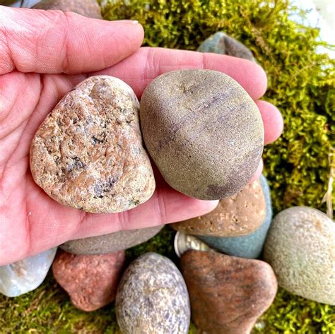 Set of 20 SM MED Sized Colorful River Rocks | Etsy