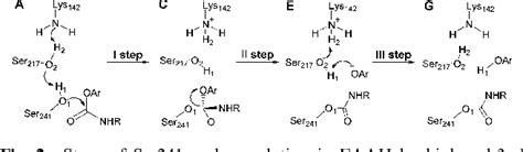 Figure 2 from Understanding the role of carbamate reactivity in fatty ...