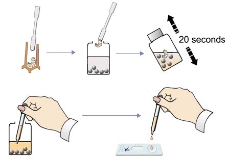 AFB Diagnostic Test Kit | Vita Bee Health