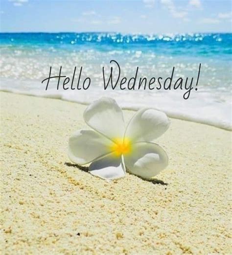 Happy Wednesday Quotes Beach