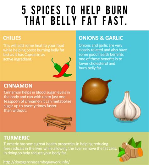 5 Spices That Help To Burn That Belly Fat Fast #infographic - Visualistan