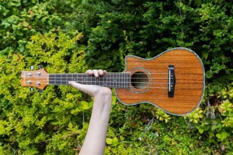 Is Mitchell a Good Ukulele Brand? (Reputation, Quality, etc.) – Fret Folks