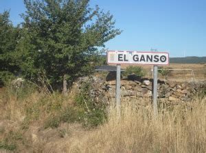 El Ganso | EL CAMINO DE LAS ESTRELLAS