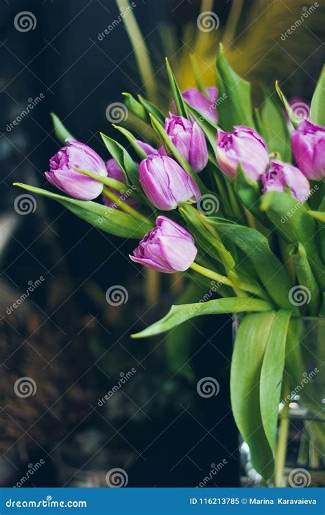 Beautiful Pink Tulips in Vase Stock Image - Image of nature, background ...