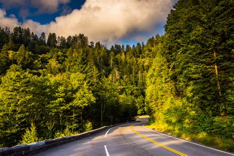 Scenic Drives in Great Smoky Mountains National Park - ROAD TRIP USA