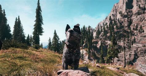 Boomer - Far cry 5 Wallpaper | Video games xbox, Gaming wallpapers, Video gamer