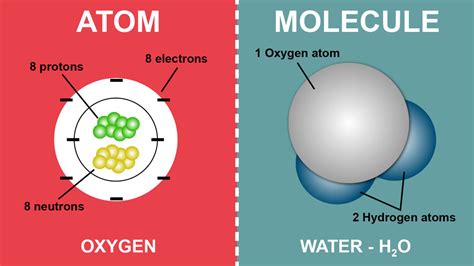 Basic Difference Between an Atom and a Molecule | YourDictionary