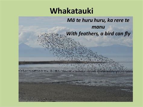 Image result for whakatauki about leadership | Leadership, Image, Beach