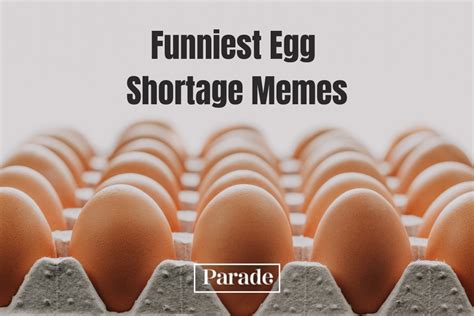 20 Best Egg Shortage Memes - Parade