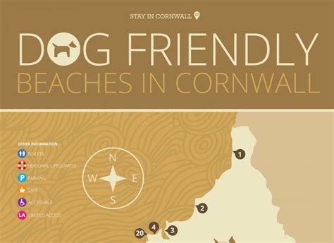 Dog Friendly Beaches in Cornwall - Dog friendly cottages | Helsbury Park