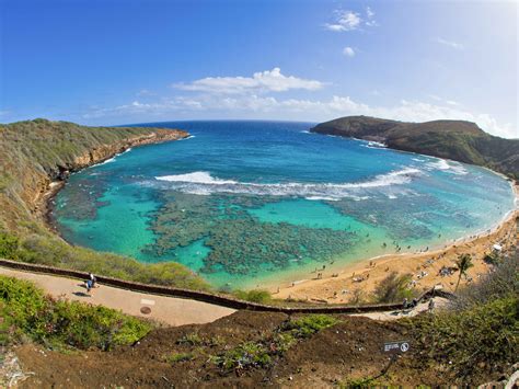 Hanauma Bay Snorkel Tour with Expert Guide & Waikiki Transportation tours, activities, fun ...