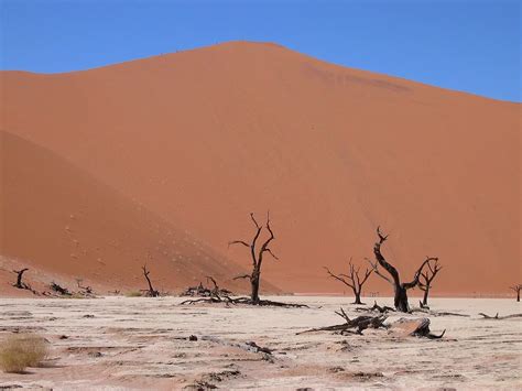 5-five-5: Sossusvlei (Namibia)