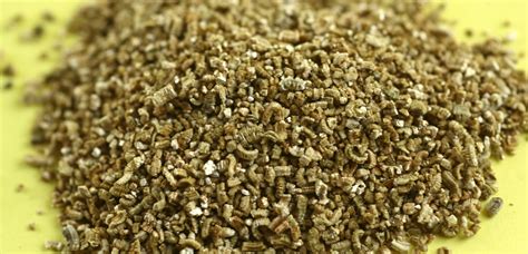 Vermiculite – Reema's Garden